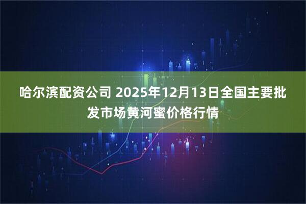 哈尔滨配资公司 2025年12月13日全国主要批发市场黄河蜜价格行情